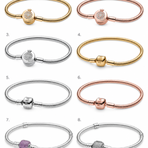 brazalete Moments Pandora color plateado