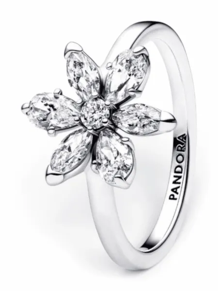 Anillo Pandora Flor Herbario