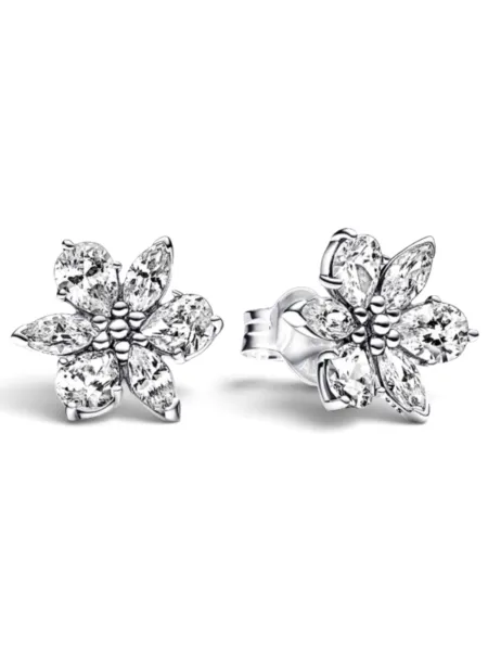 Aros Pandora Herbario Flor Plateados